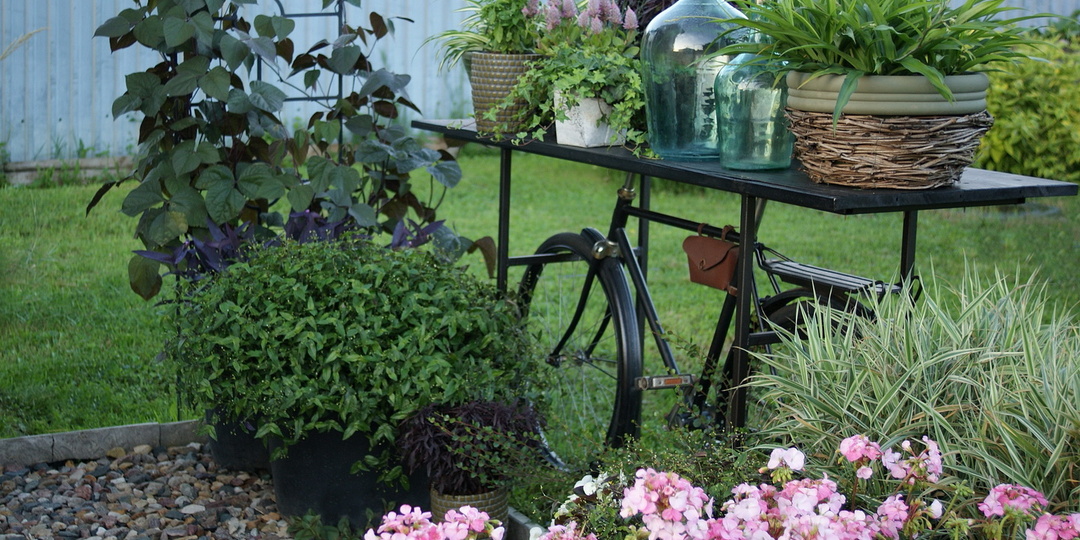 Из коллекционера в модельера: как перестать скупать все сорта в сад