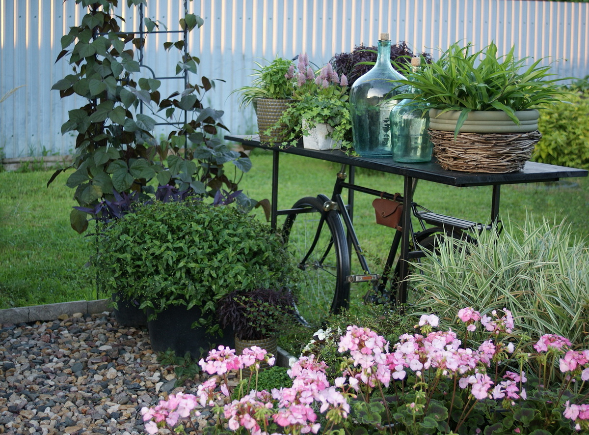 Здесь тоже своего рода коллекция. 