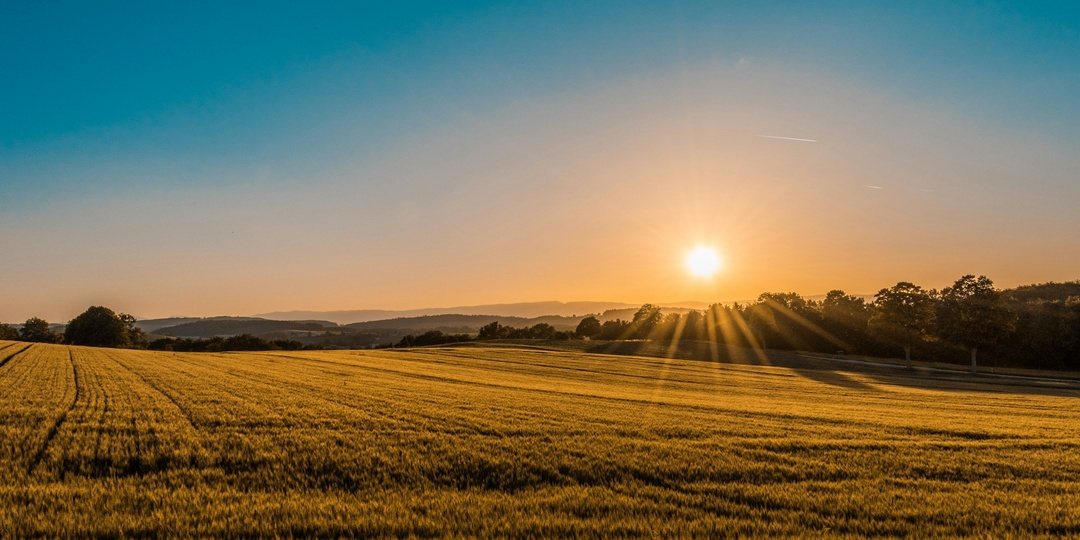 6 признаков по которым ваш участок ИЖС, ЛПХ или дачный могут изъять с 1 сентября 2025 г.