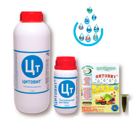 фотография с официального сайта АНО "НЭСТ М" https://nest-m.ru