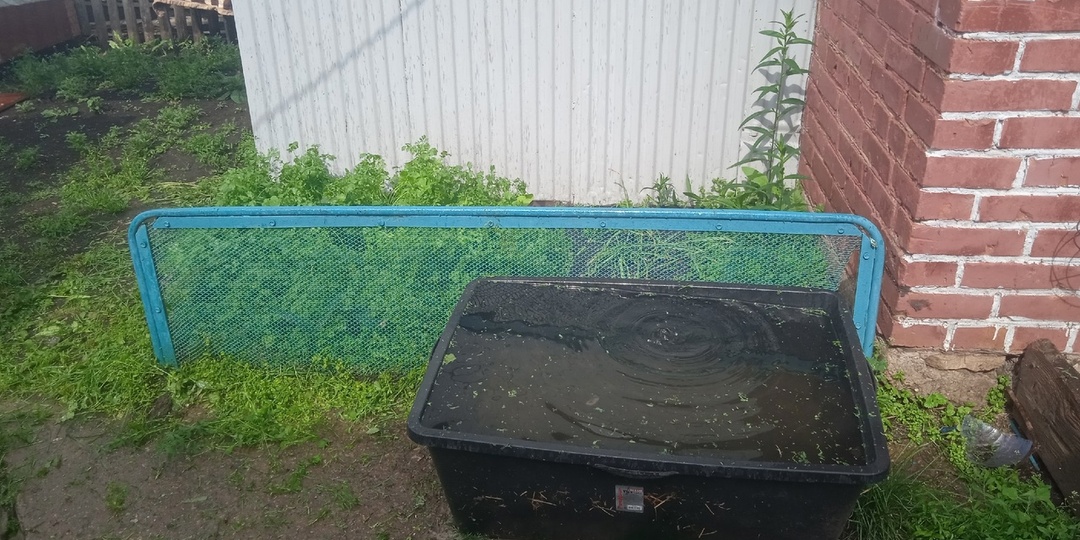 Про погоду и природу