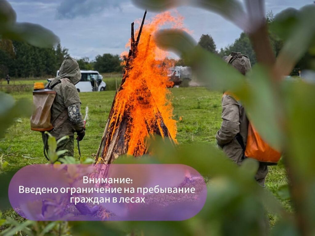    Фото: министерство природных ресурсов, лесного хозяйства и экологии Пермского края Екатерина Устькачкинцева