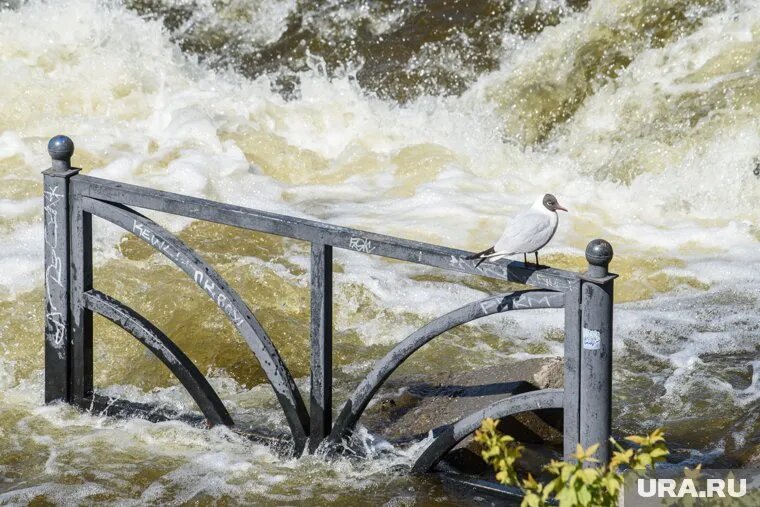 Минувшей ночью в Сочи выпало большое количество осадков (архивное фото). Фото: Илья Московец © URA.RU