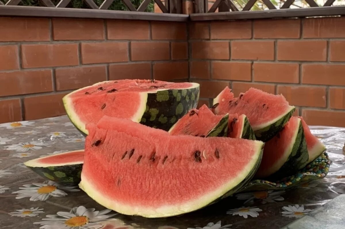   Жителям Кубани рассказали, когда в продажу поступят местные арбузы и дыни