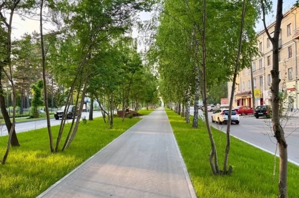    Мэр Новосибирска похвалил местную программу восстановления газонов