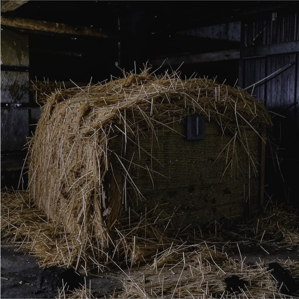 Сгенерировано ИИ