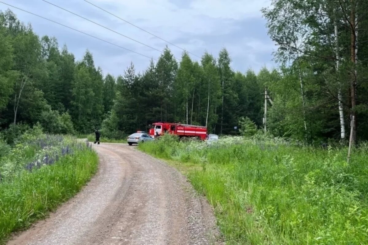    Пенсионер получил смертельную травму в ДТП на трассе в Удмуртии
