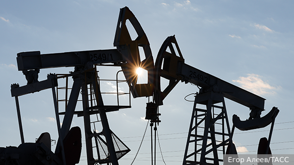     Фото: Егор Алеев/ТАСС   
 Текст: Валерия Городецкая