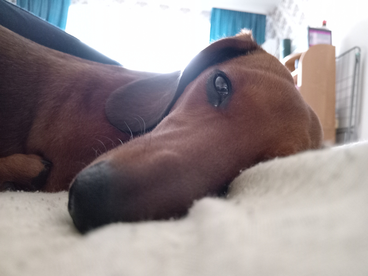 Это первое, что видит мой человек каждое утро