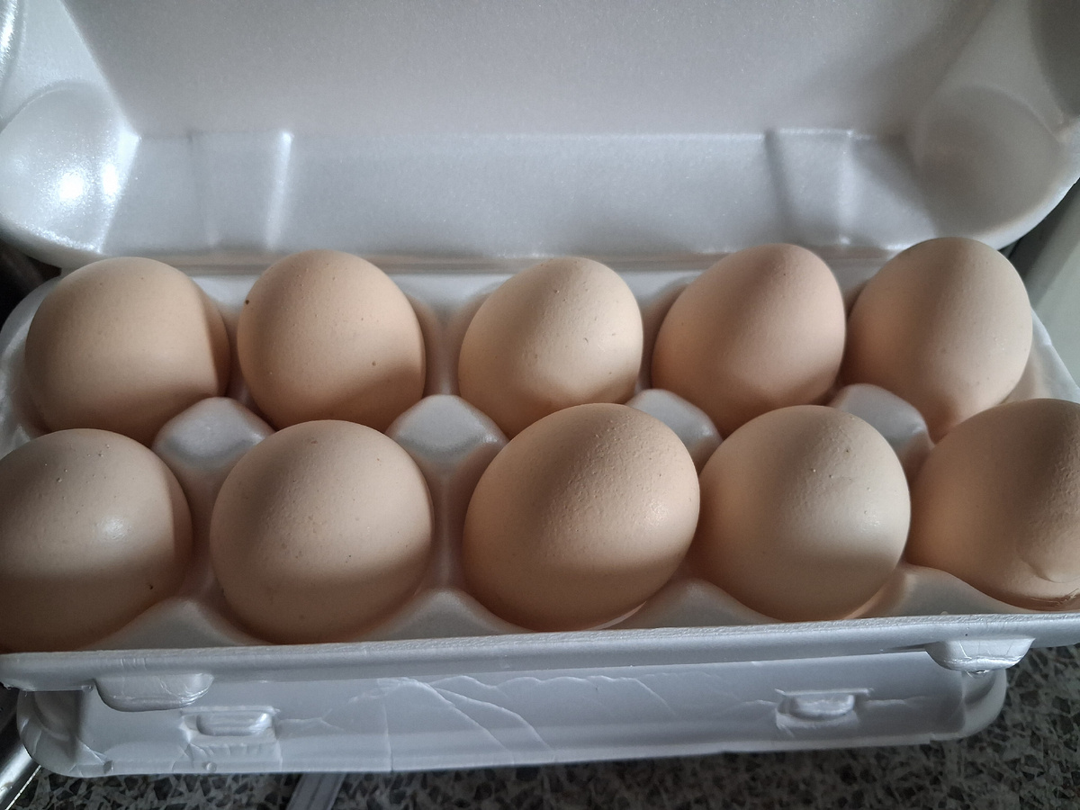 Яйца от молодок - одно к одному. Фото автора.