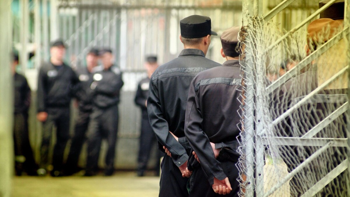    Фото: Jonas Petrovas/Shutterstock/Fotodom