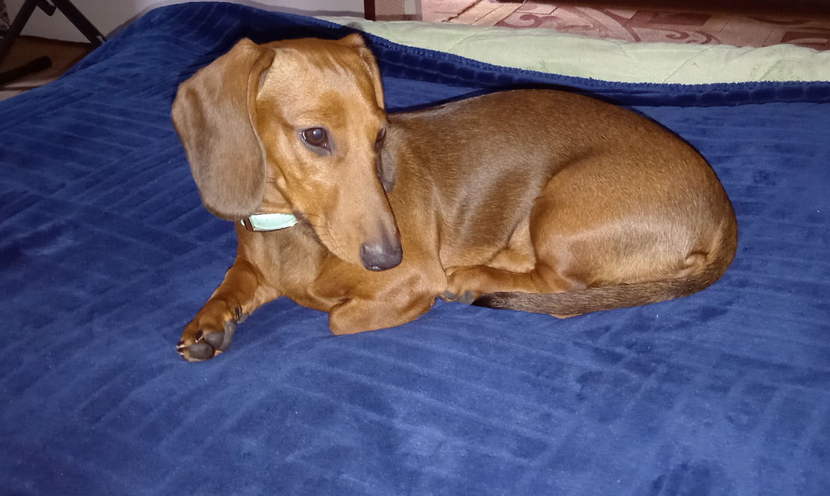 Внимательно наблюдаю за происходящим на экране