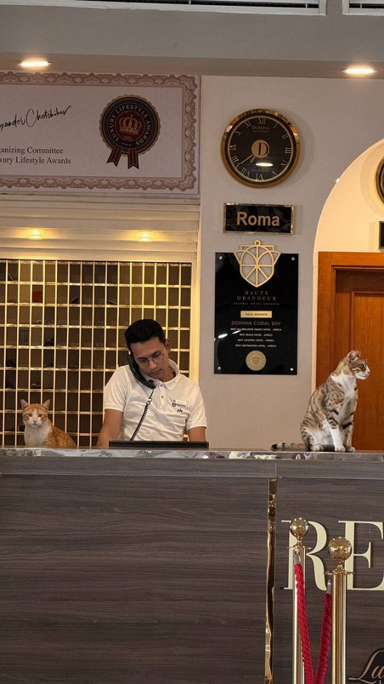 Strekoza, автор отзыва
