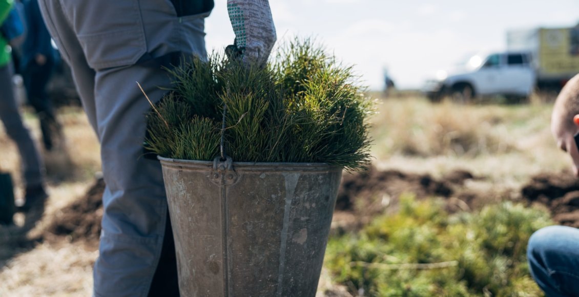    Фото: РусКлиматФонд