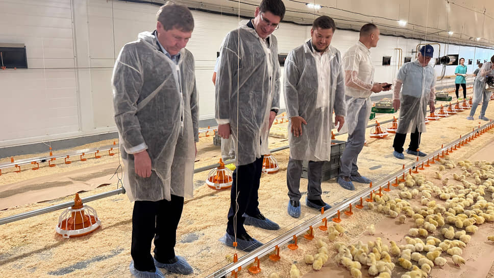 Министр сельского хозяйства Нижегородской области Николай Денисов, замгубернатора Андрей Саносян (крайние слева) в новом птичнике.📷Фото: «Русское поле»