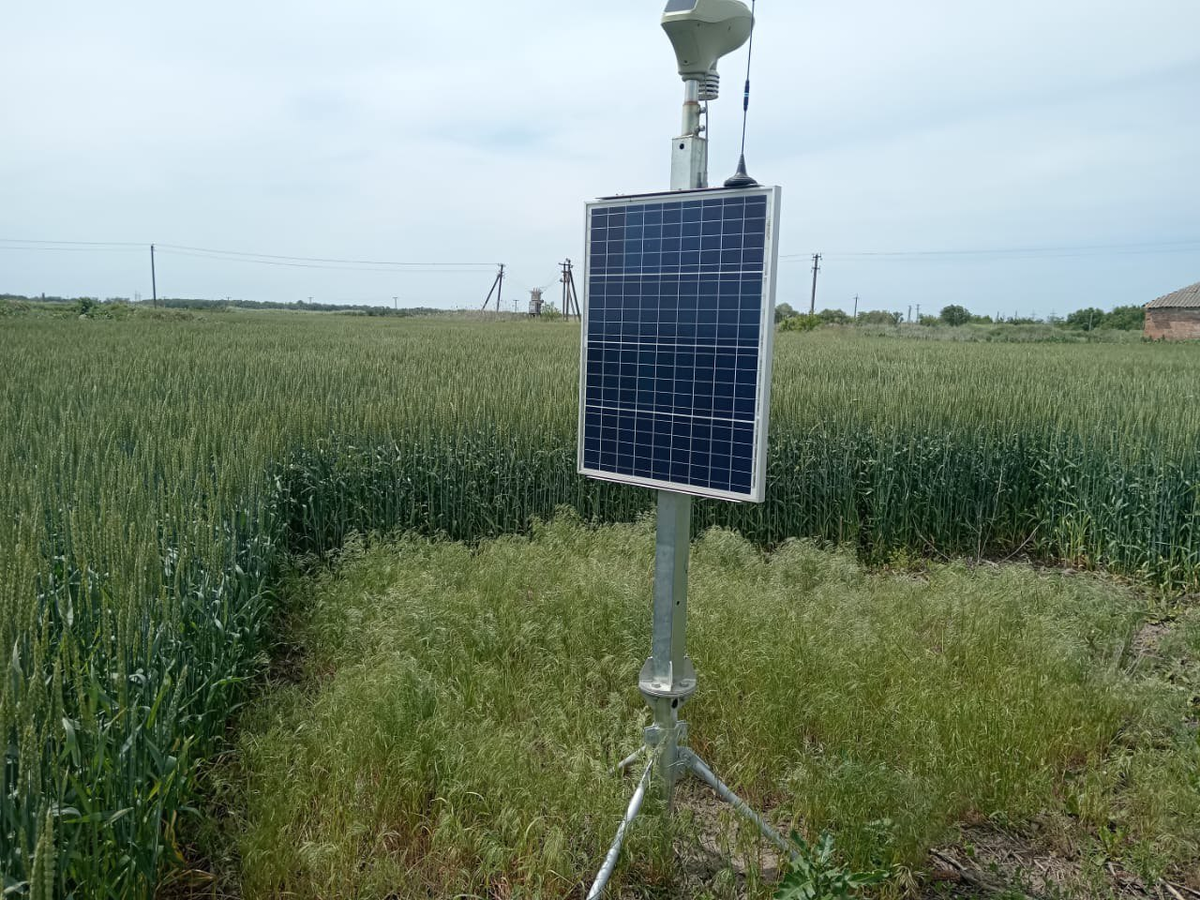 Источник: «Рассвет»