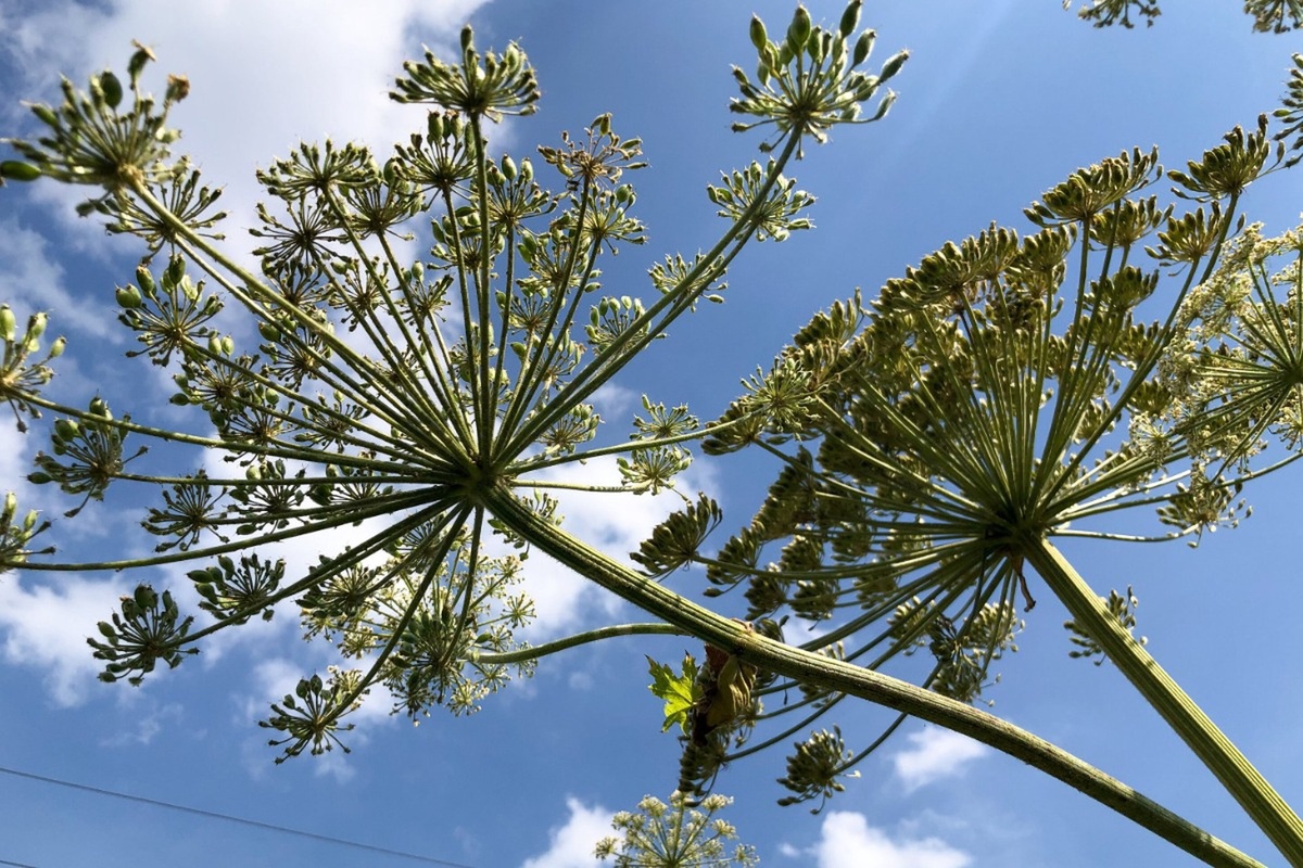 Фото © АГН «Москва»