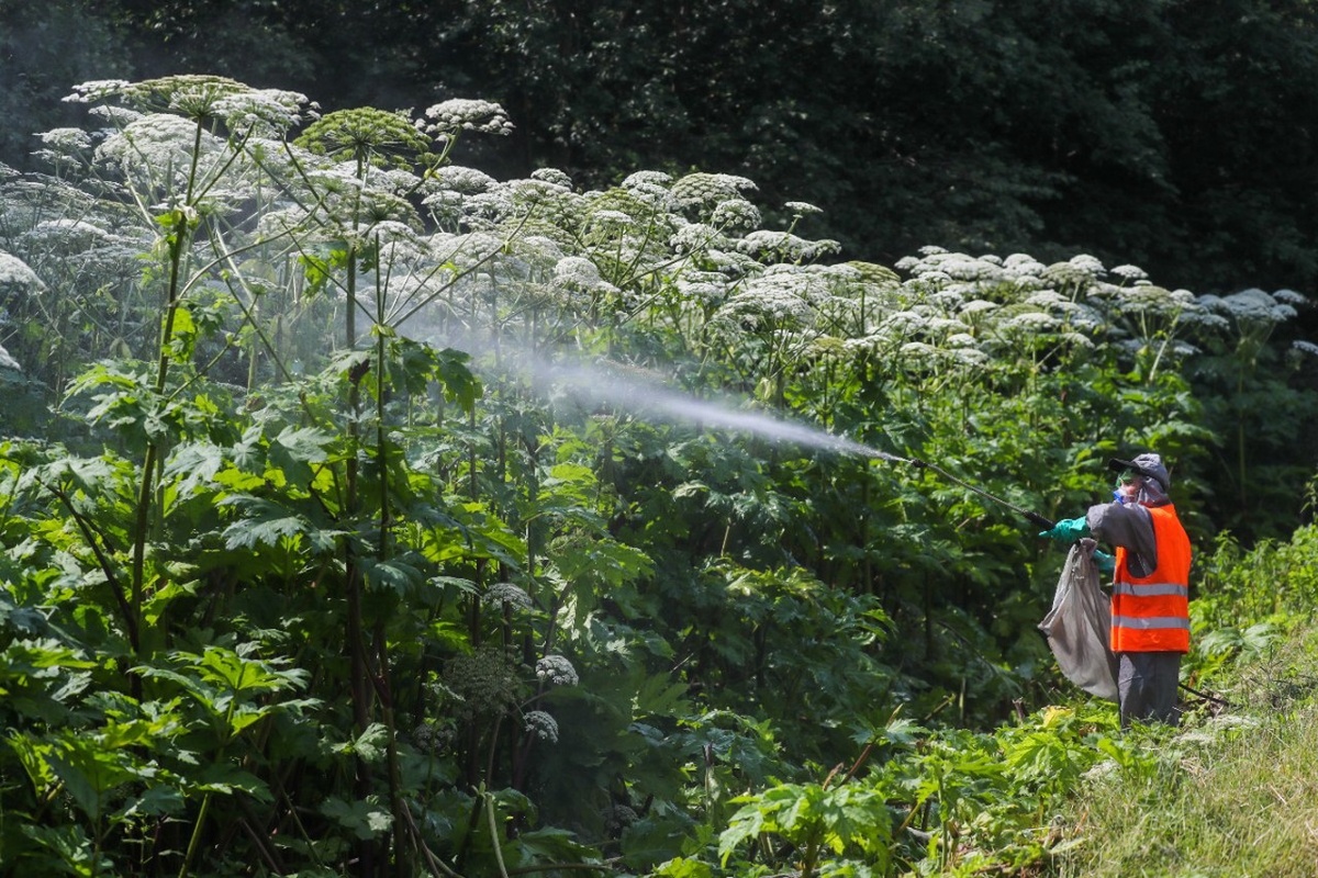 Фото © Сергей Савостьянов / ТАСС