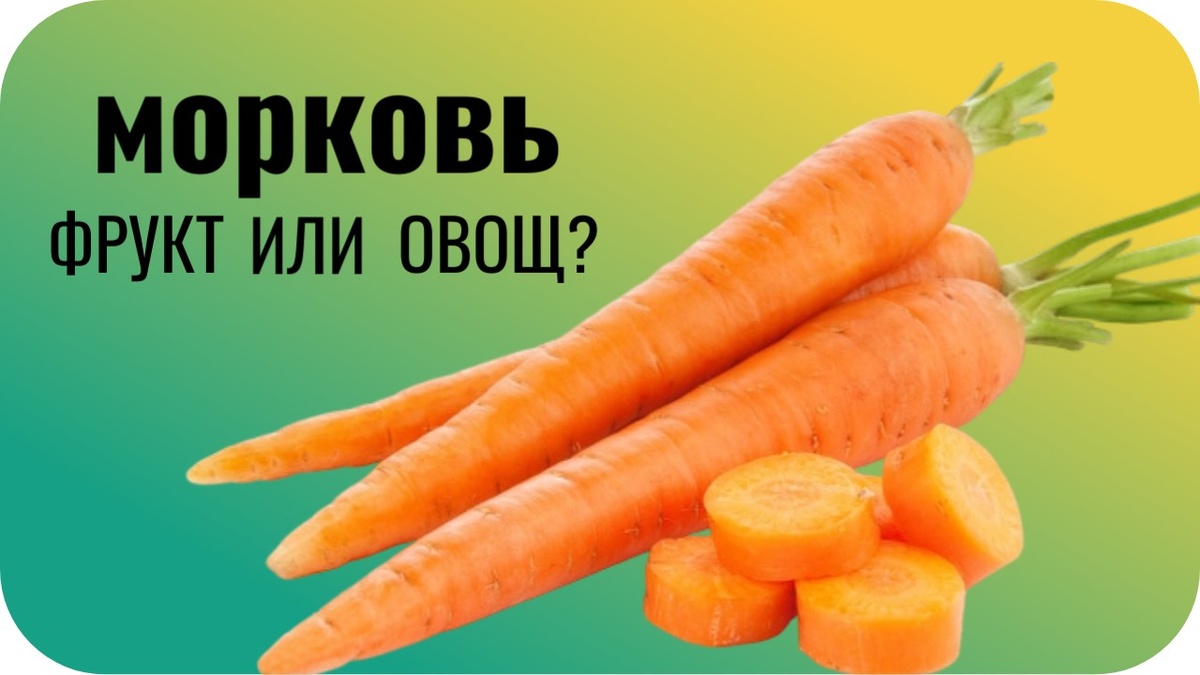 Морковь