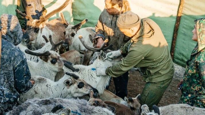    Фото: Юлия Чудинова / «Ямал-Медиа»