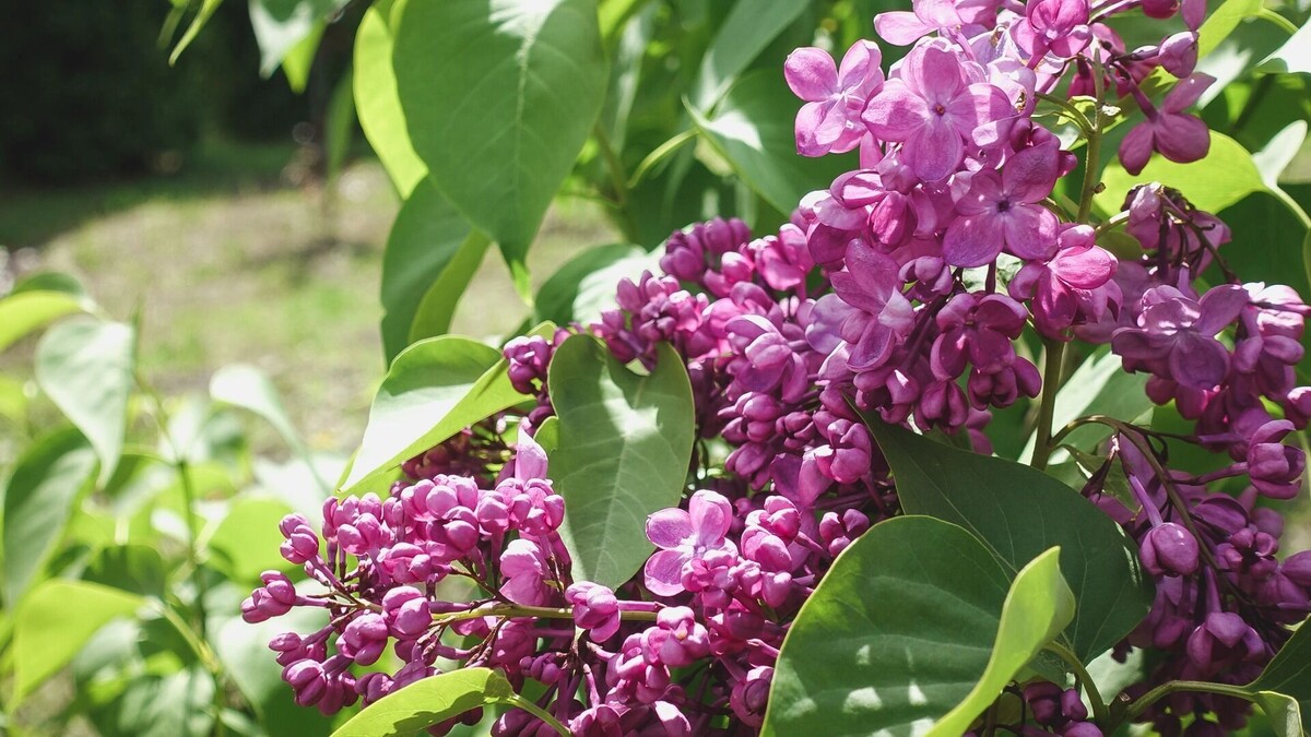     Источник: bel.ru