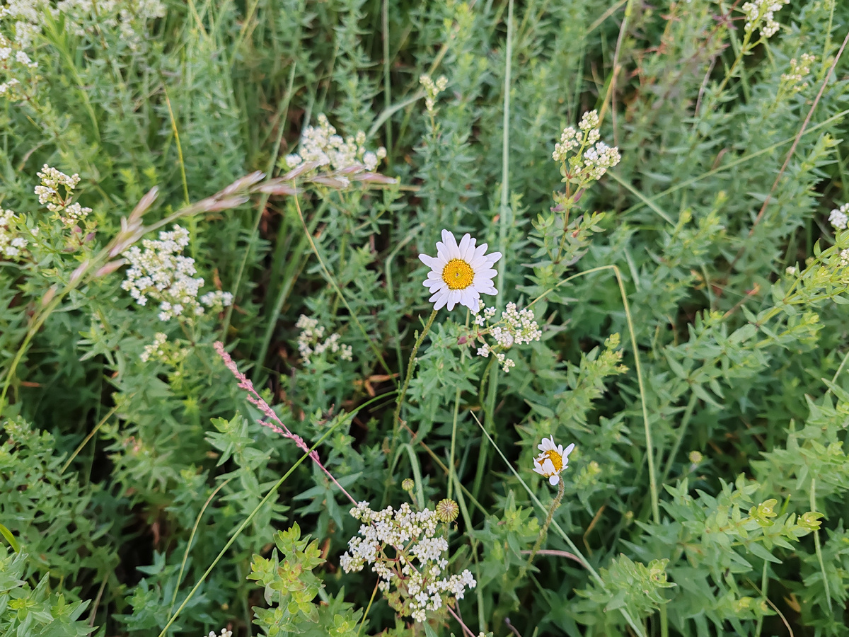 Фото автора канала. 