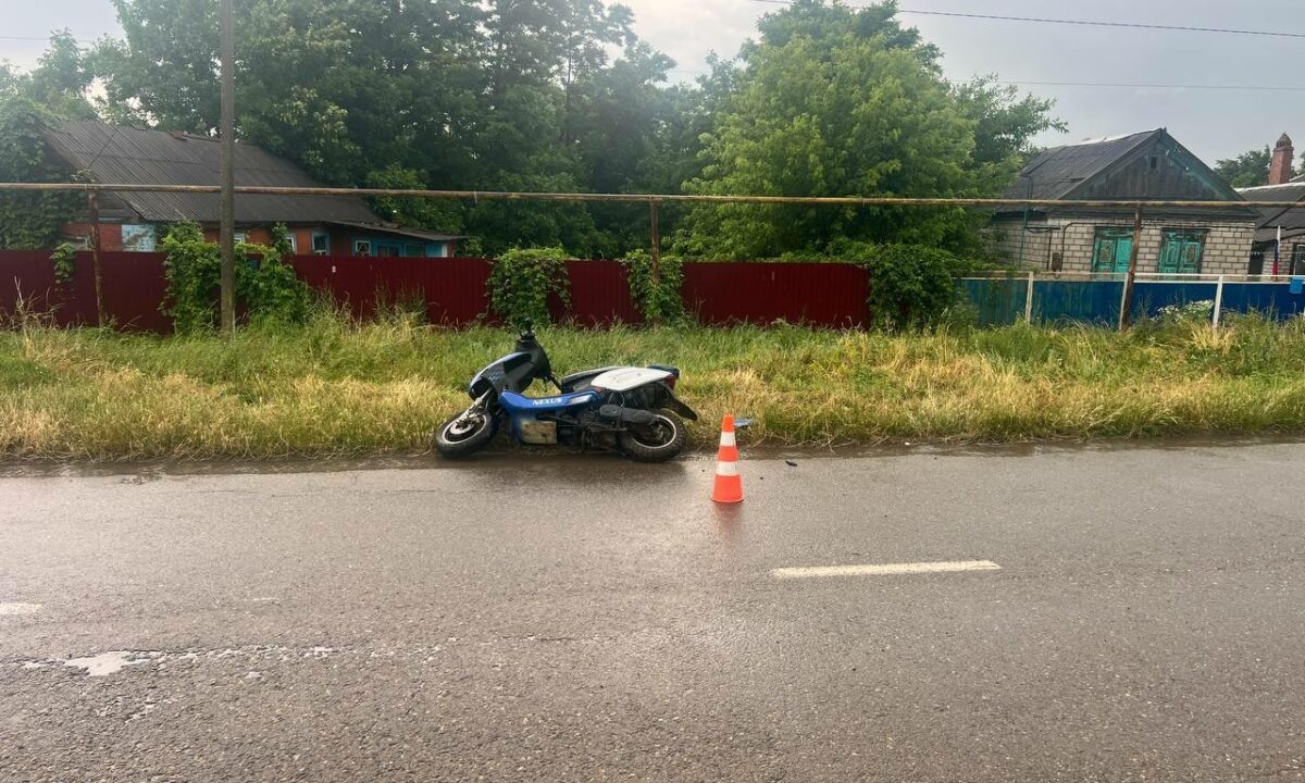    Фото t.me/gibdd123region