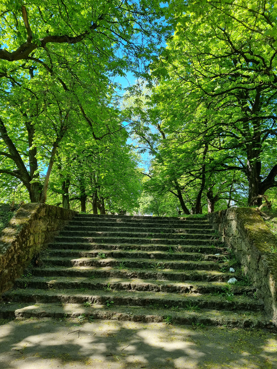 Парк Южный, город Калининград. Фото автора статьи.