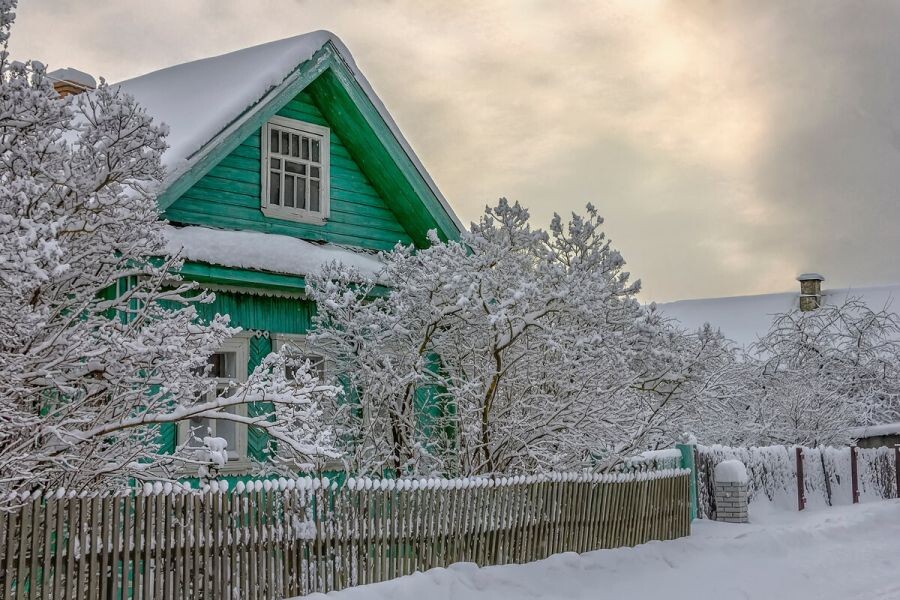 яндекс картинки