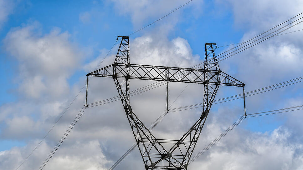 Фото: Олег Харсеев / Коммерсантъ