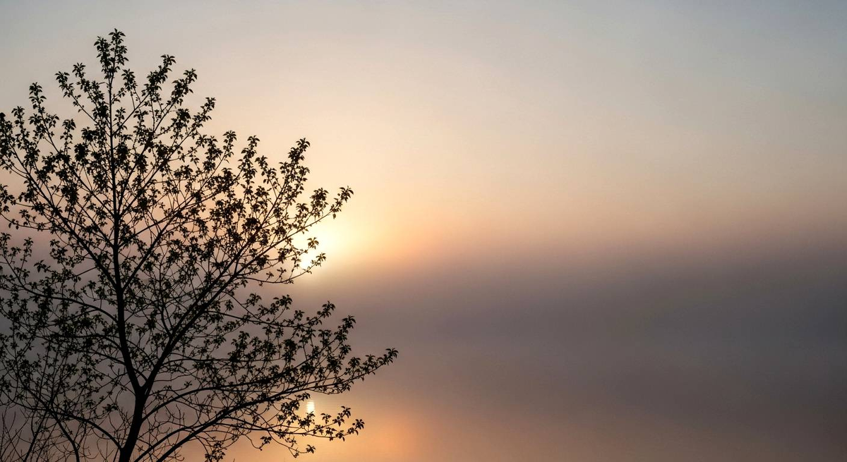 Как бережно восстановиться после эмоционального выгорания и снова обрести вкус к жизни