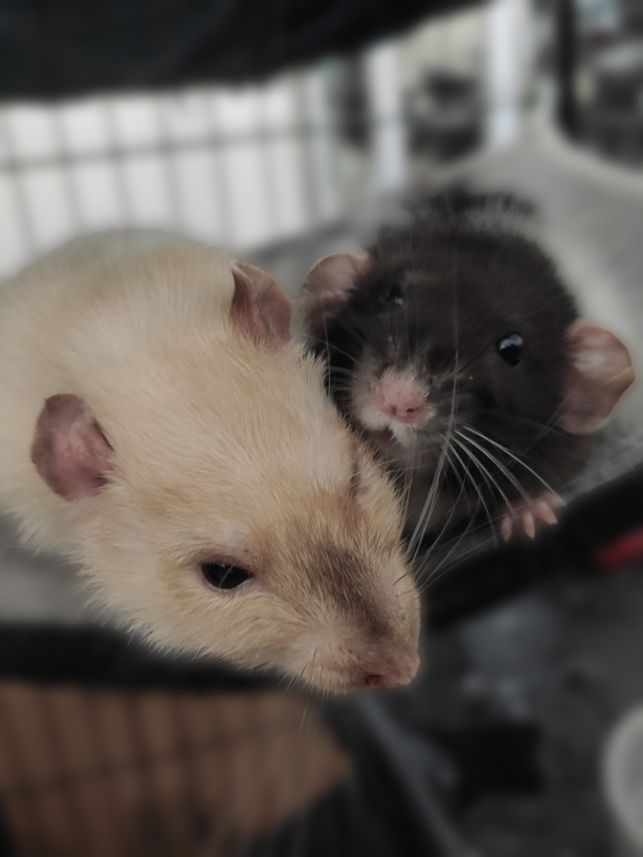 фото от участников сообщества