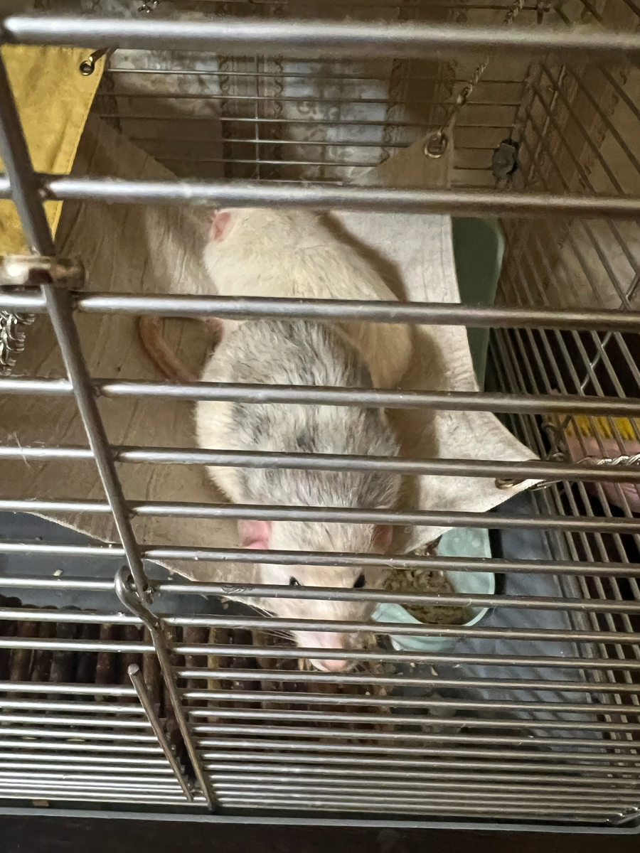 фото от участников сообщества