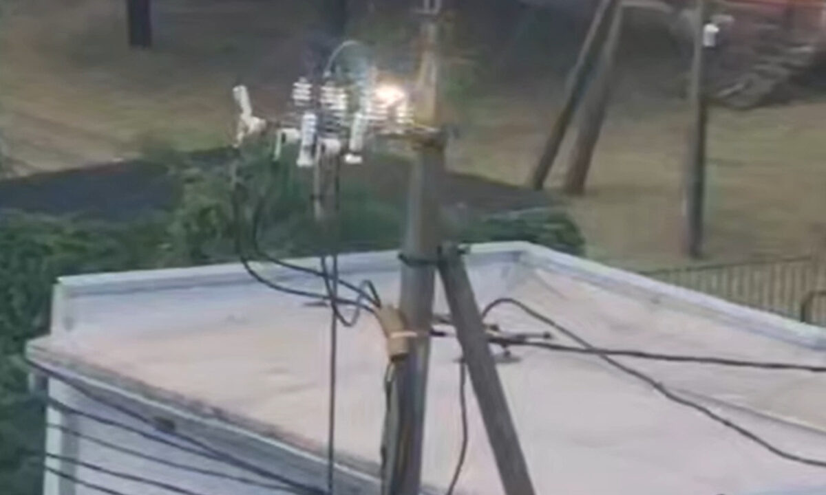    Фото t.me/temruk_info