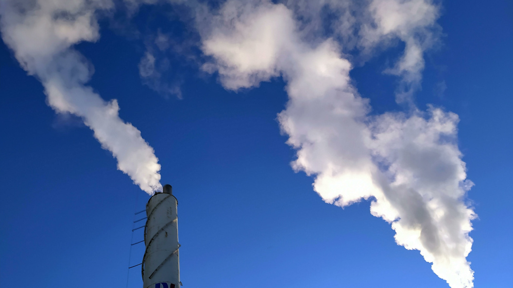    Фото: Victor Lisitsyn/Globallookpress