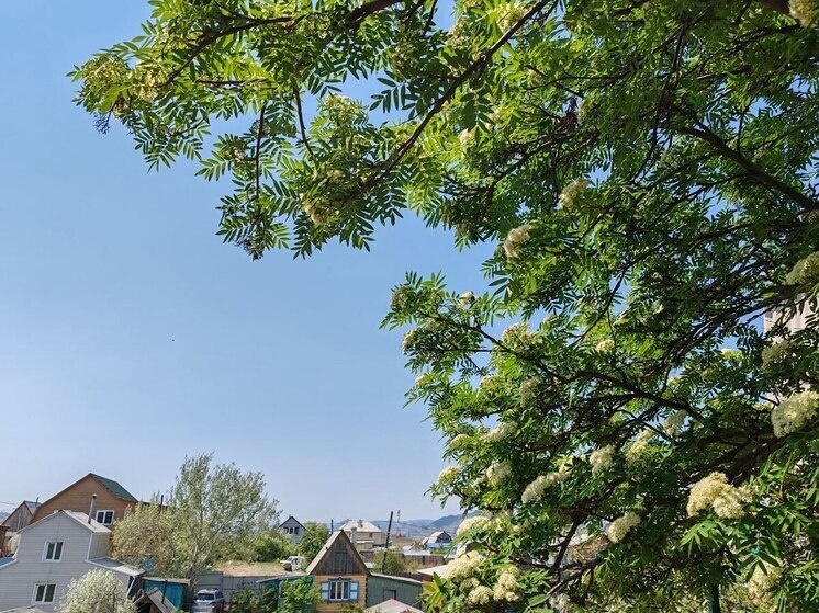   МК в Бурятии