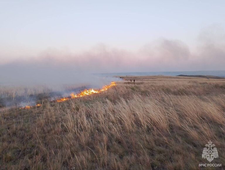    Фото: МЧС России Дмитрий Андреев
