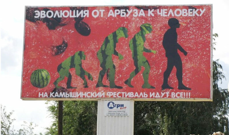    Самый известный баннер Камышинского арбузного фестиваля