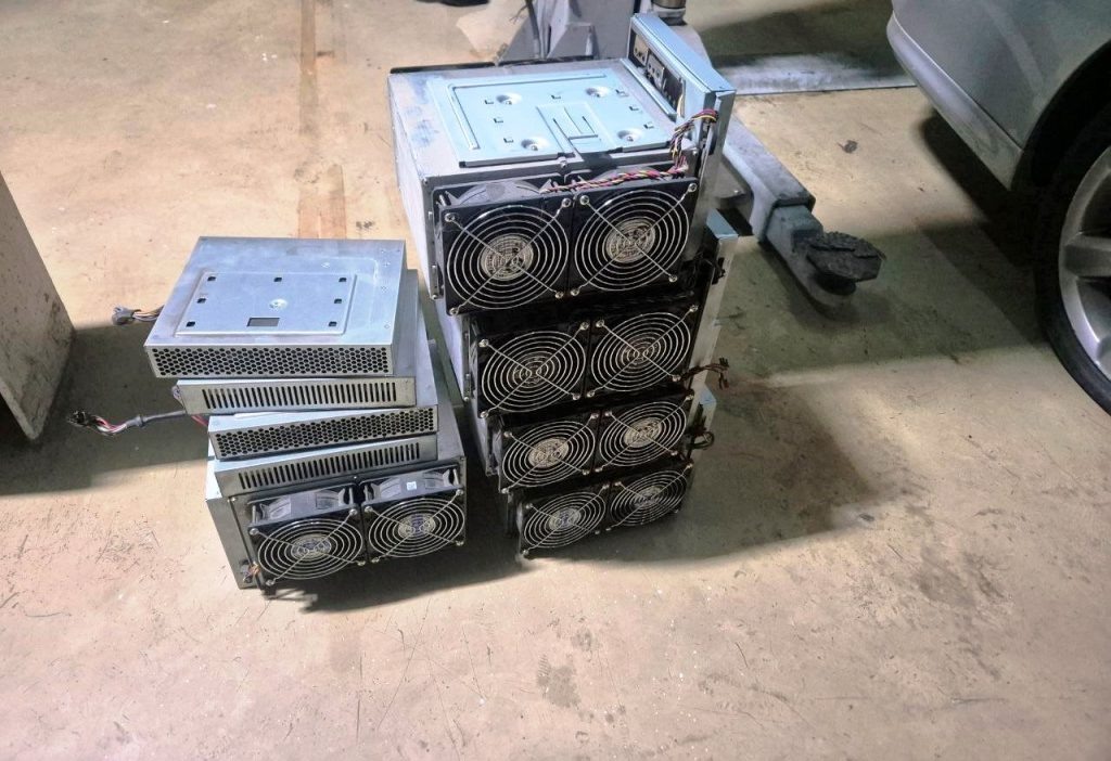    Фото: пресс-служба таможни города Сочи