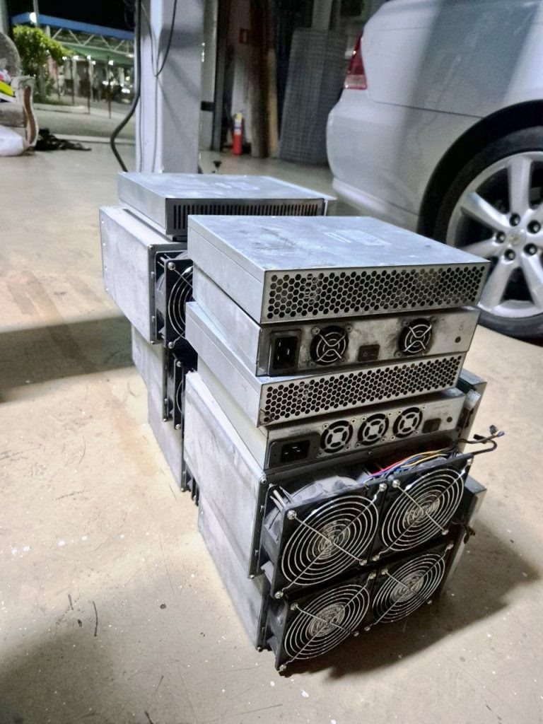    Фото: пресс-служба таможни города Сочи