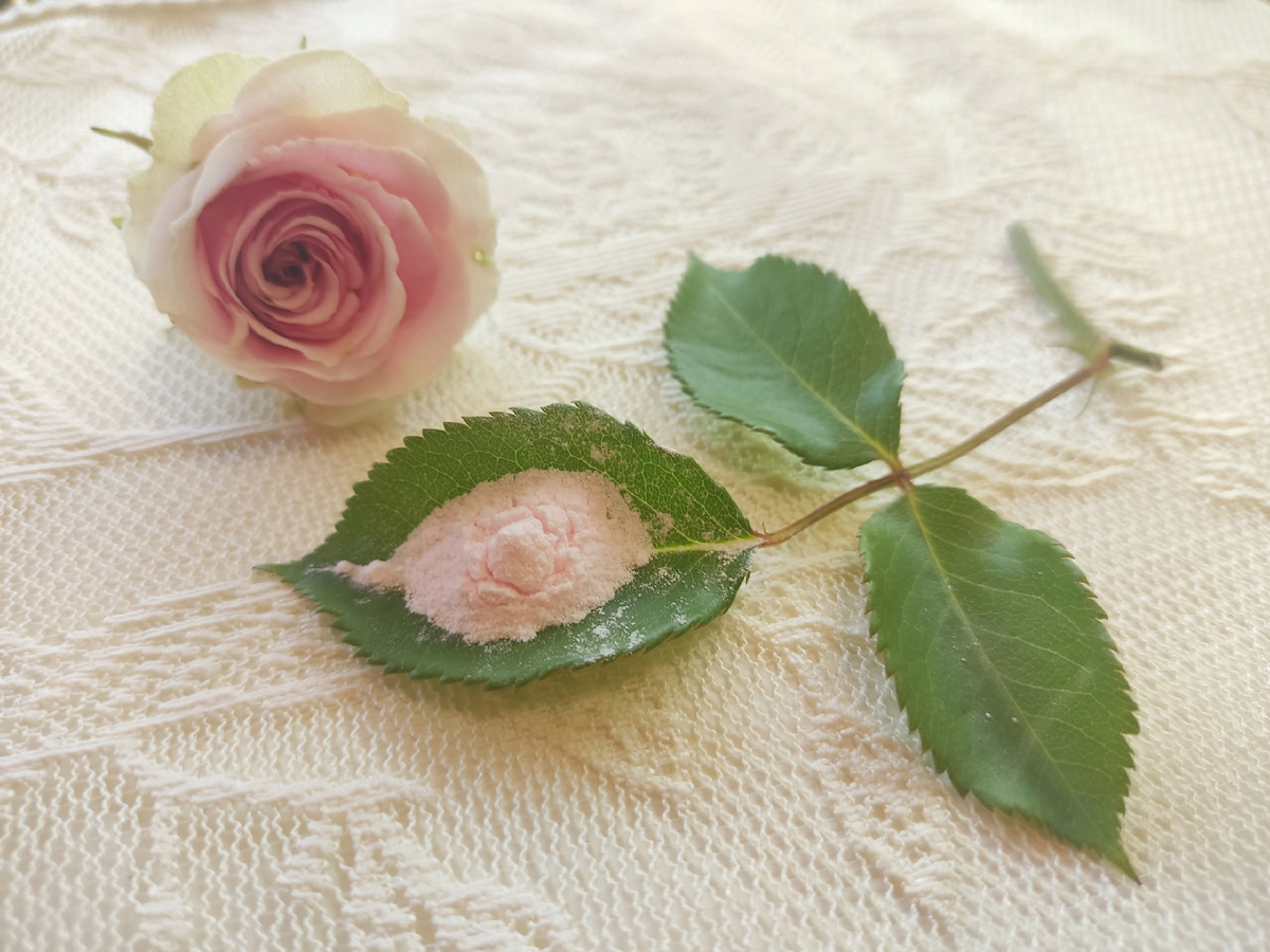 Беспечный розовый вечер