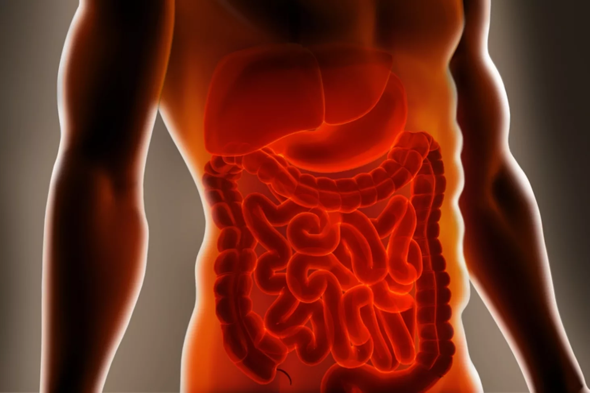 Ухудшение состояния слизистой оболочки кишечника