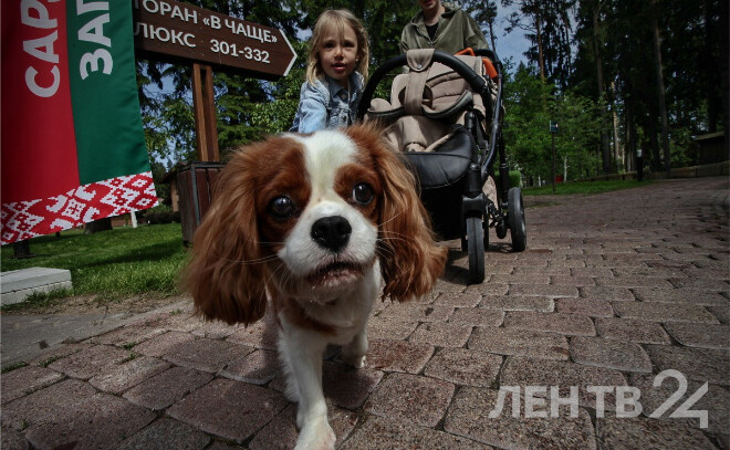    © Анастасия Илюшина / ЛенТВ24