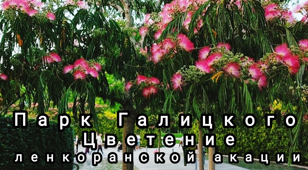 💖🌿🌸🌿💖🌿🌸🌿💖🌿🌸🌿💖