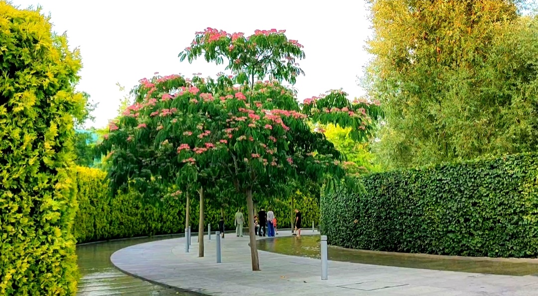 💖🌸💖🌸💖🌸💖