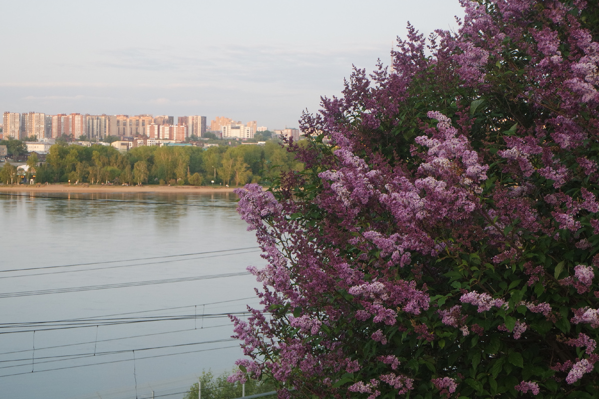 "в этом городе воскресенье пахнет сиренью, в этом городе понедельник пахнет грозой..."