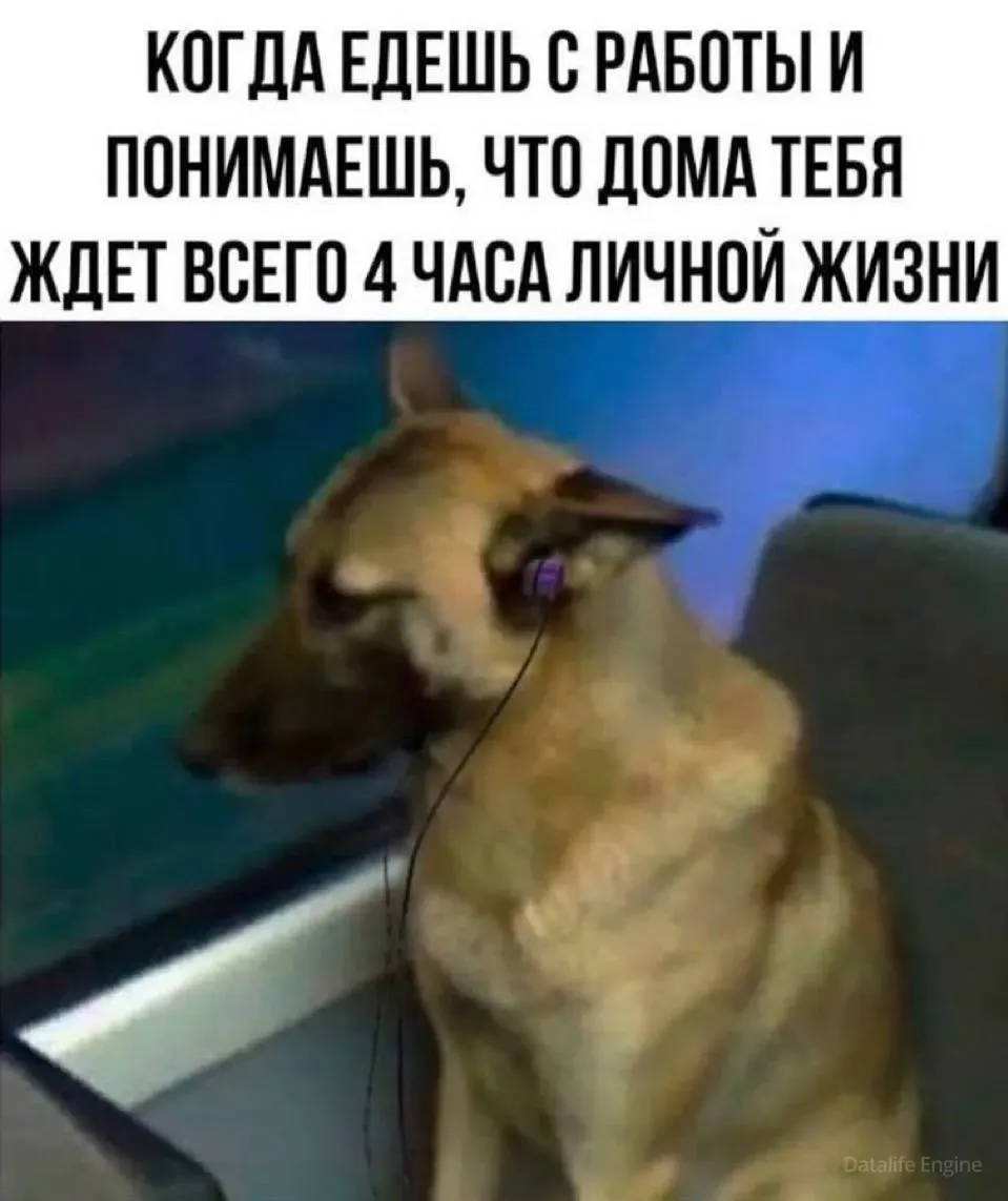 А вы во сколько ложитесь спать?