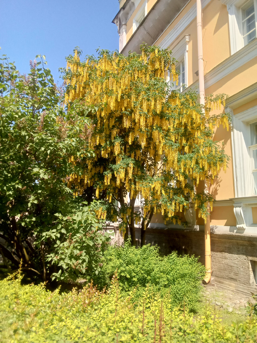 Если бы вы знали, какой аромат!!!