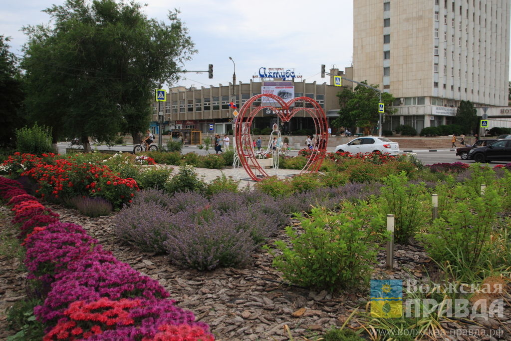 Фото Юрия Самодурова📷    Лето в цвете: стильные клумбы Волжского продолжают радовать глаз
