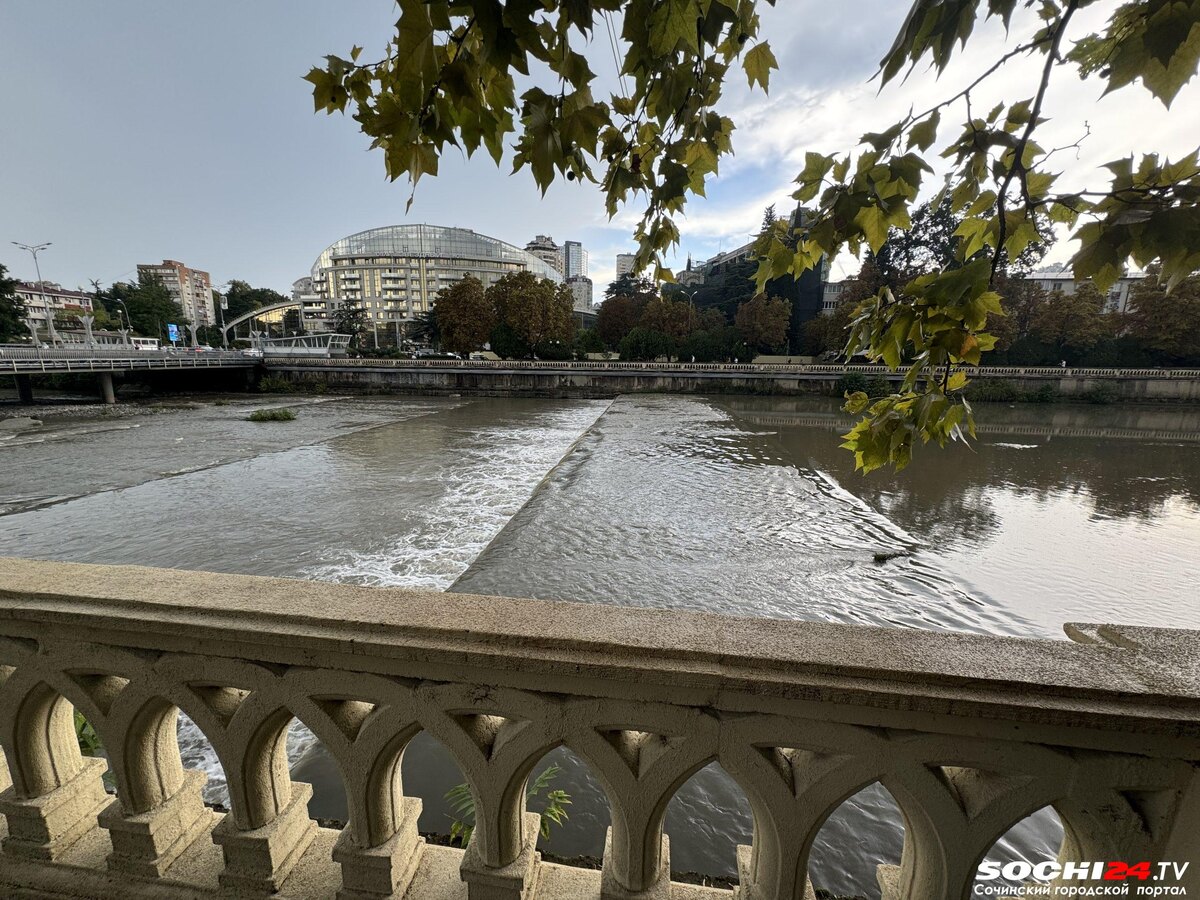 фото: Сочи 24  📷
